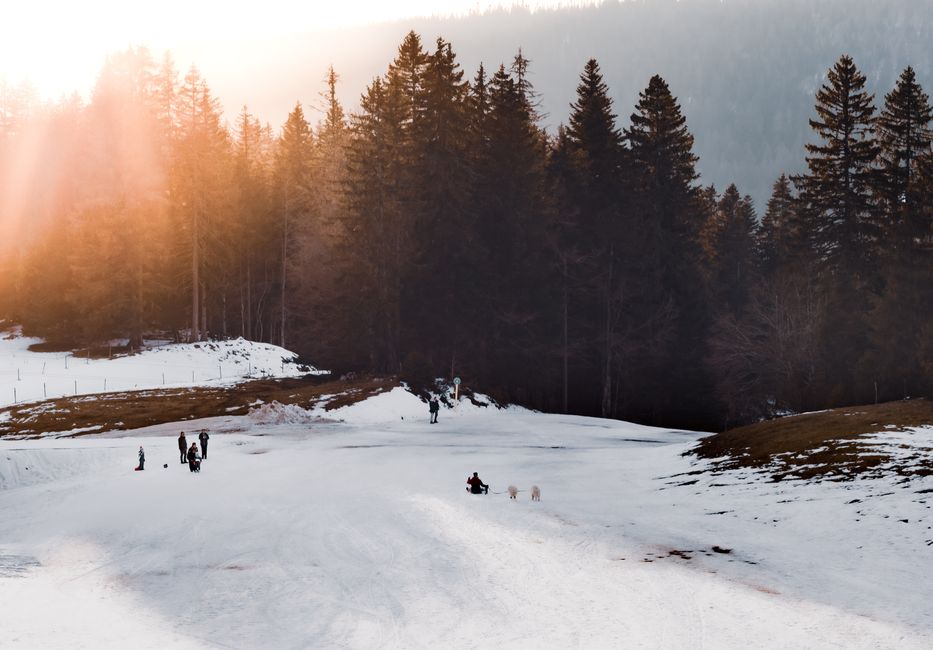 Winter landscape of Les Rousses forest with people enjoying sunlit ski slopes in France.